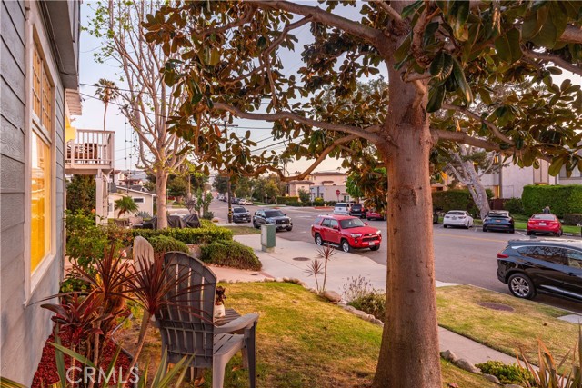 Wonderful neighborhood