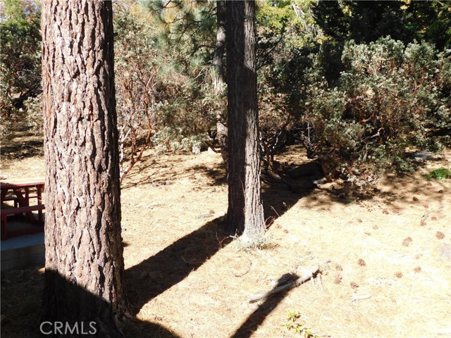 Detail Gallery Image 18 of 37 For 25109 Coulter Dr, Idyllwild,  CA 92549 - 2 Beds | 2 Baths