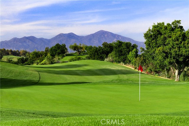 14 Conchito, Rancho Santa Margarita CA: https://media.crmls.org/medias/d066e252-5f25-48fc-9eb5-977b25b33870.jpg