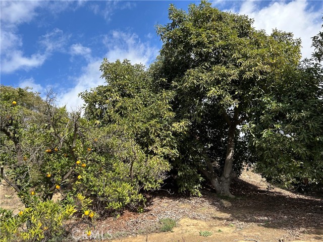 Home for Sale in Fallbrook