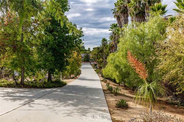 3352 Via Zara, Fallbrook CA: https://media.crmls.org/medias/d06d80c4-305e-4532-8e08-f70f6c5aa7f1.jpg
