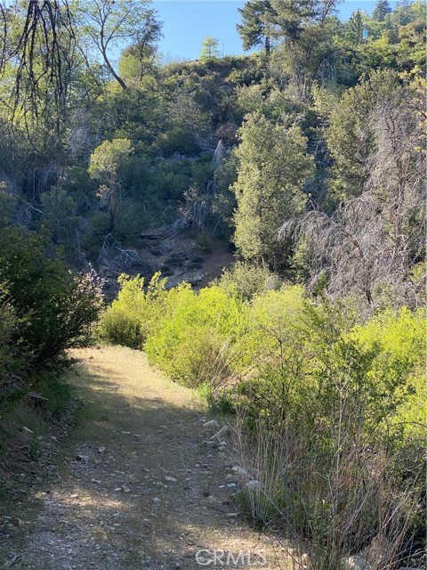1 Fredalba Road, Running Springs CA: https://media.crmls.org/medias/d06f0a29-5549-4349-9daa-d4a7440e5274.jpg