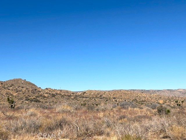 MLS #JT25243508 image #5