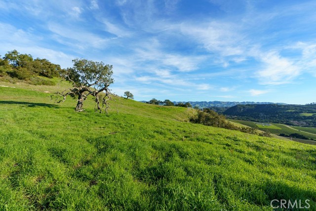 Detail Gallery Image 23 of 29 For 518 Bella Terra Ct, San Luis Obispo,  CA 93401 - – Beds | – Baths