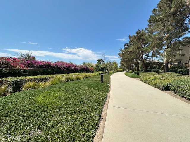 D07b1167 365c 4bf4 9972 0bb9acdb0263