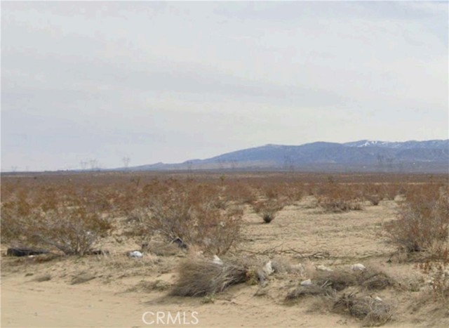 Front Image Thumbnail for CRSR26124599