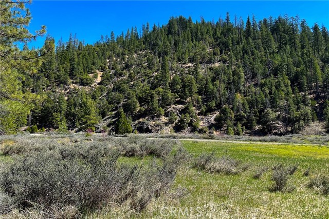 Detail Gallery Image 13 of 35 For 79402 State Highway 3, Trinity Center,  CA 96091 - – Beds | – Baths