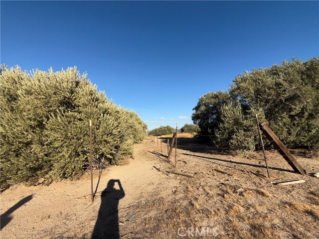 Detail Gallery Image 33 of 35 For 8539 W Avenue L, Lancaster,  CA 93536 - – Beds | – Baths