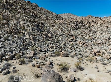 MLS #JT25262958 image #3