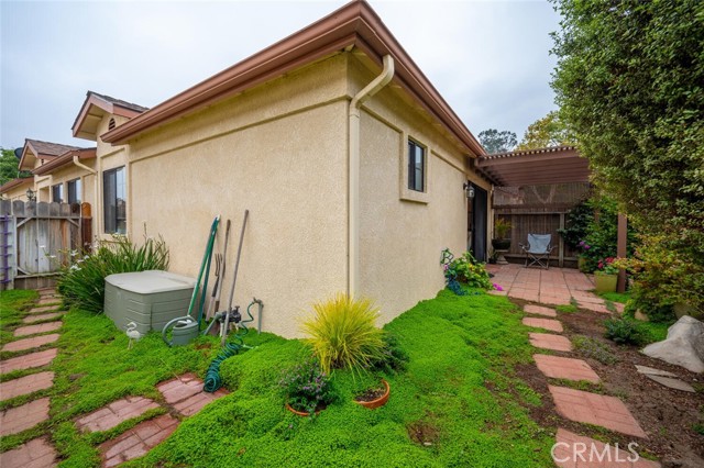 Backyard Corner 1