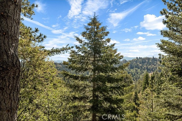 Detail Gallery Image 23 of 50 For 26352 Spyglass Dr, Lake Arrowhead,  CA 92352 - 4 Beds | 3/1 Baths