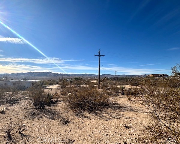 MLS #JT25252608 image #4