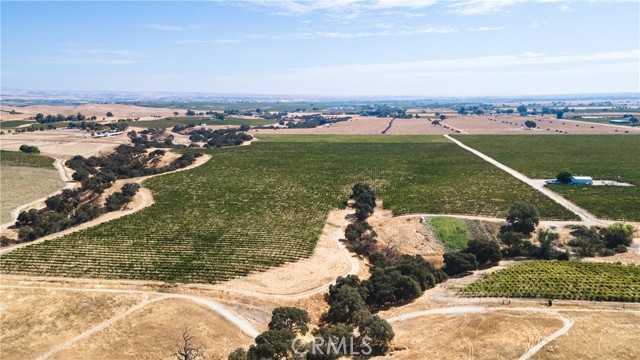 Detail Gallery Image 9 of 14 For 1600 Adobe Road, Paso Robles,  CA 93446 - – Beds | – Baths