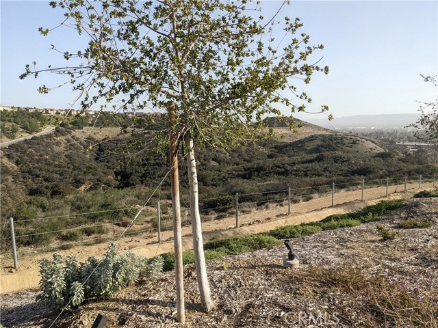 60 COYA Trail, Chatsworth (los Angeles), California 91311, ,Land,For Sale,60 COYA Trail,CRSR23165782