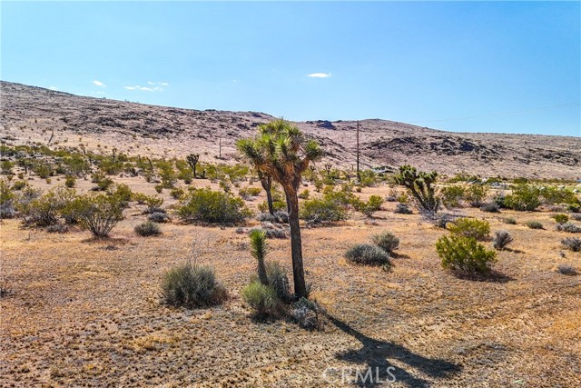 Detail Gallery Image 38 of 56 For 56623 Sunset Dr, Yucca Valley,  CA 92284 - 1 Beds | 1 Baths