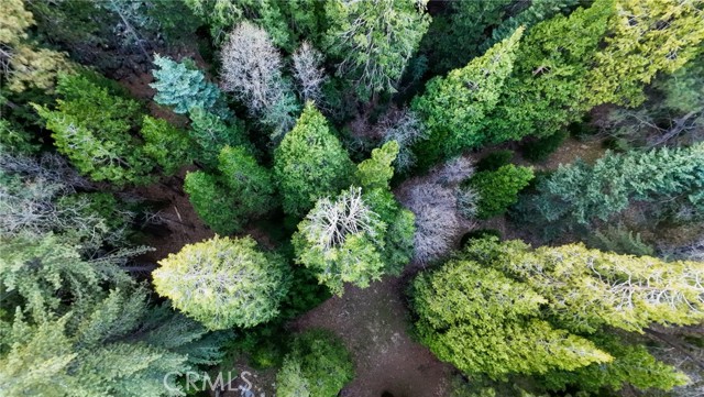 Detail Gallery Image 6 of 10 For 246 Cedar Ridge, Lake Arrowhead,  CA 92352 - – Beds | – Baths