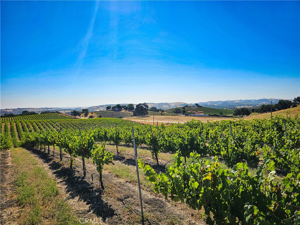 2023 Twelve Oaks Drive