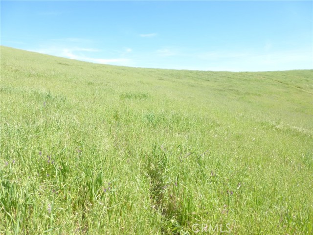 Detail Gallery Image 5 of 27 For 0 Douglas Rd. (Lot 41), San Miguel,  CA 93451 - – Beds | – Baths