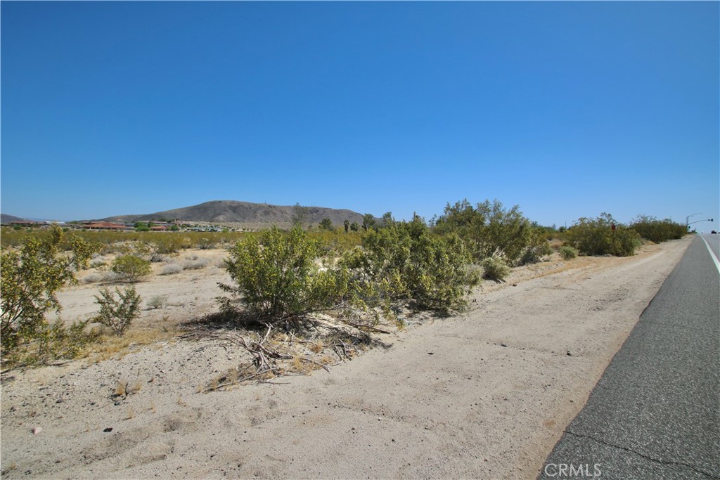 MLS #JT25089763 image #8