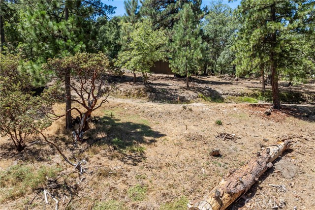 27115 Spring Lane, Lake Arrowhead CA: https://media.crmls.org/medias/d0c24158-45a5-4b34-85e9-e390d95f3aee.jpg