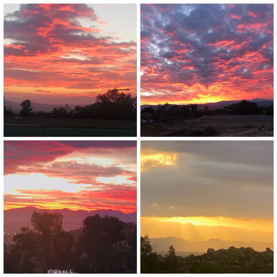 MLS #SW25241435 image #33