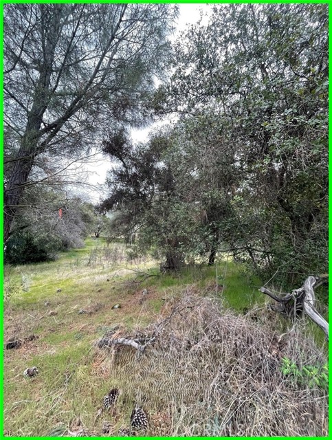 Detail Gallery Image 6 of 10 For 13672 Fair Oak Rd, Clearlake,  CA 95424 - – Beds | – Baths