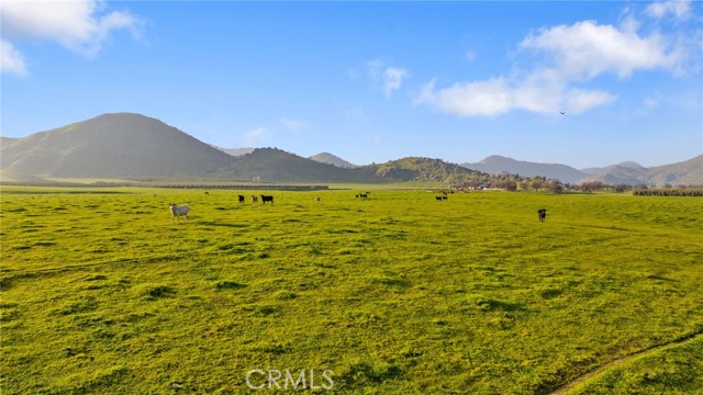 Detail Gallery Image 26 of 51 For 19400 398, Woodlake,  CA 93286 - – Beds | – Baths