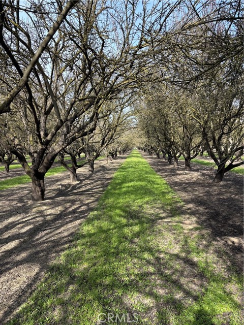 Detail Gallery Image 28 of 29 For 0 August, Delhi,  CA 95315 - – Beds | – Baths