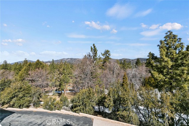 858 Fox Tower Way, Big Bear Lake CA: https://media.crmls.org/medias/d0ca7ba1-20f4-41b2-8590-221bd25ed2a3.jpg