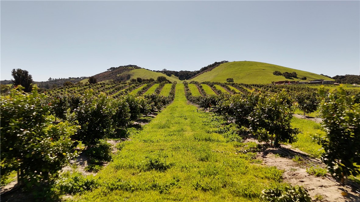 Image 7 of 48 For 5502 Los Ranchos Road