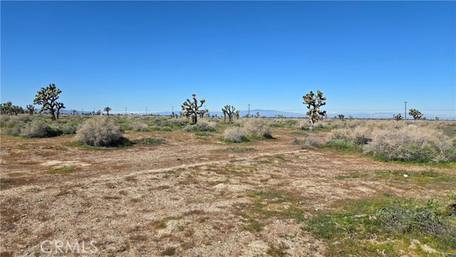 Detail Gallery Image 28 of 35 For 0 Palmdale Blvd & 75th St East, Palmdale,  CA 93553 - – Beds | – Baths