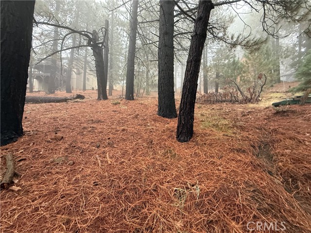 Front Image Thumbnail for CRPW25263980