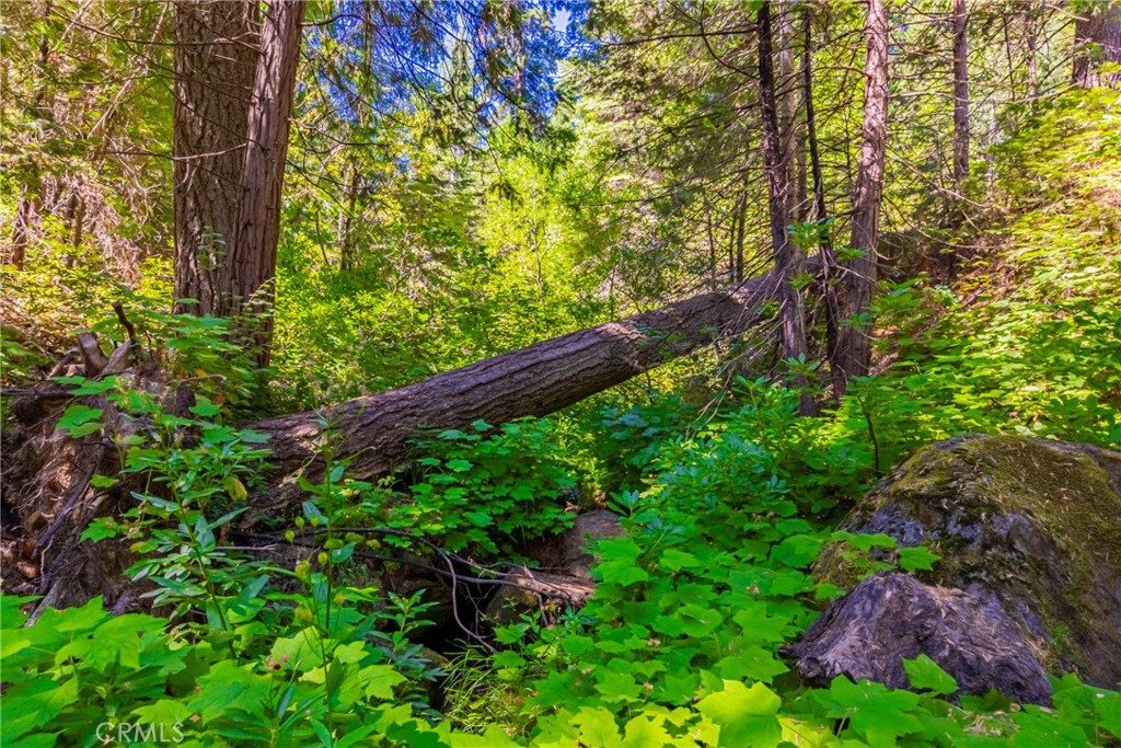 https://media.crmls.org/medias/d0e594ee-c405-42be-876a-e68d307f093b.jpg?preset=X-Large