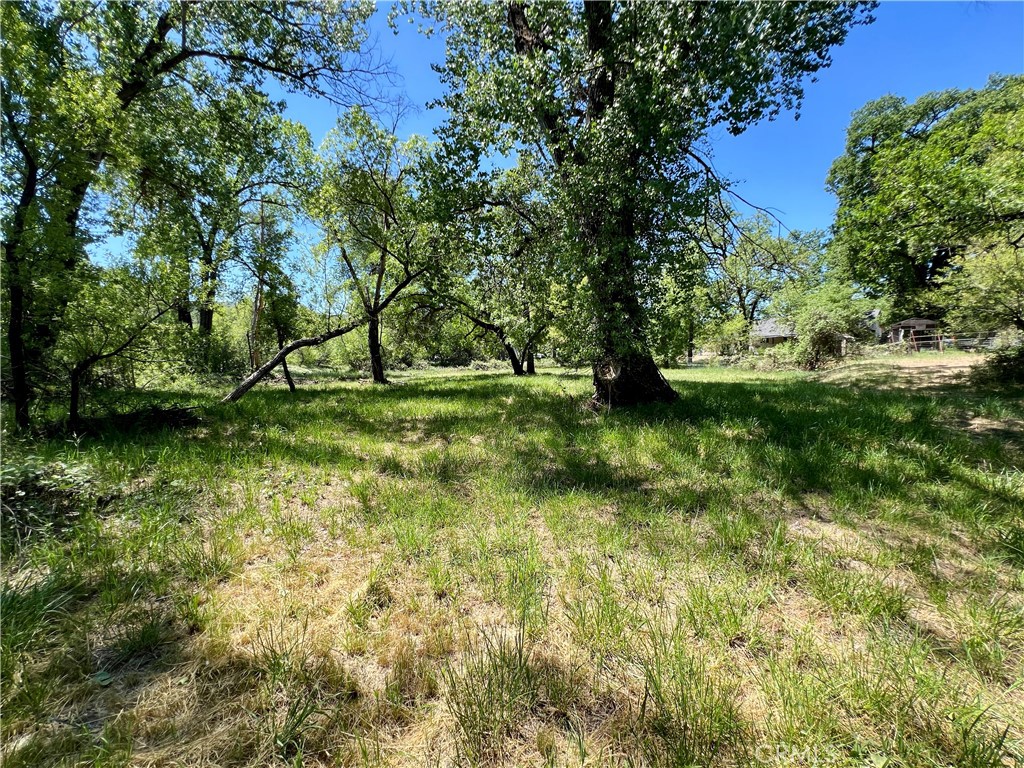 https://media.crmls.org/medias/d0e77a6a-656a-4796-804d-fdb4089520df.jpg?preset=X-Large