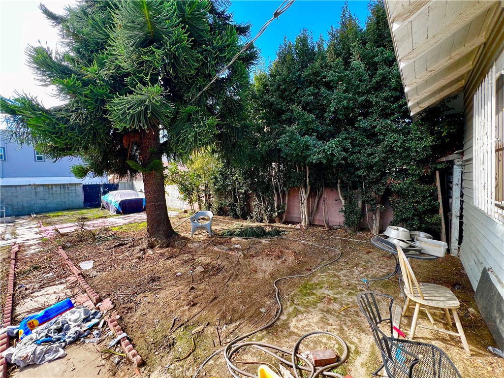 MLS #NP25184241 img 8