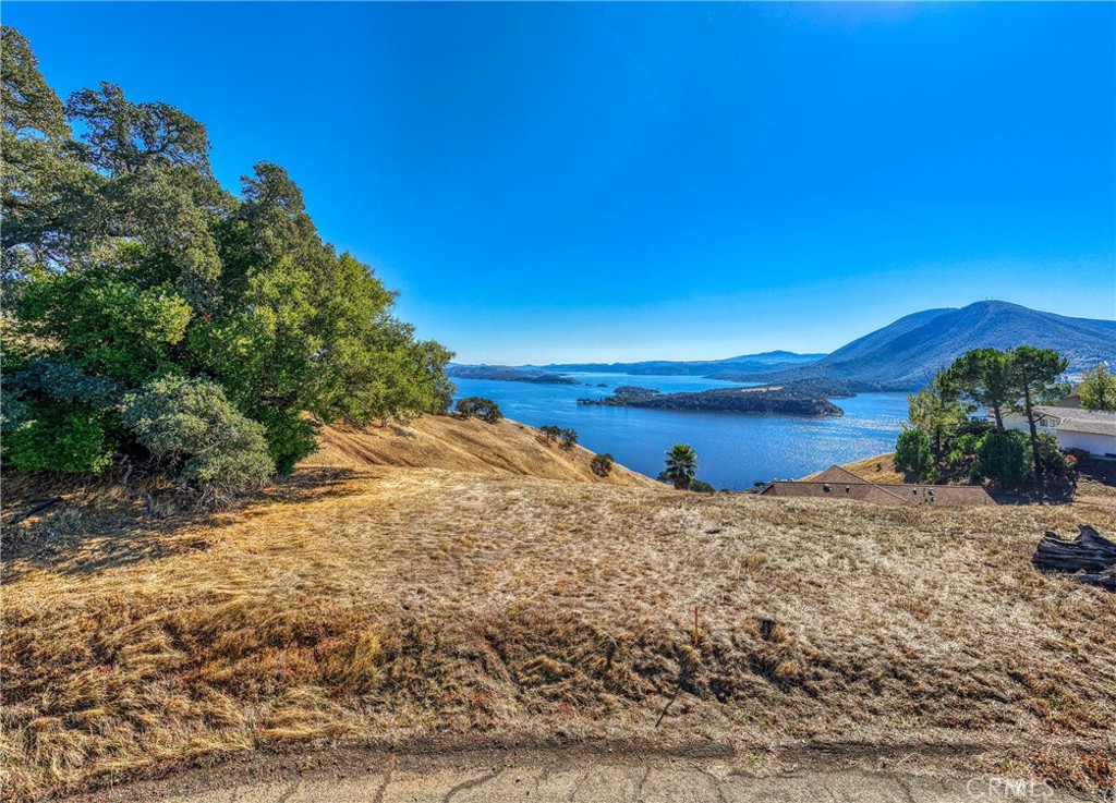 MLS #LC25240438 image #6