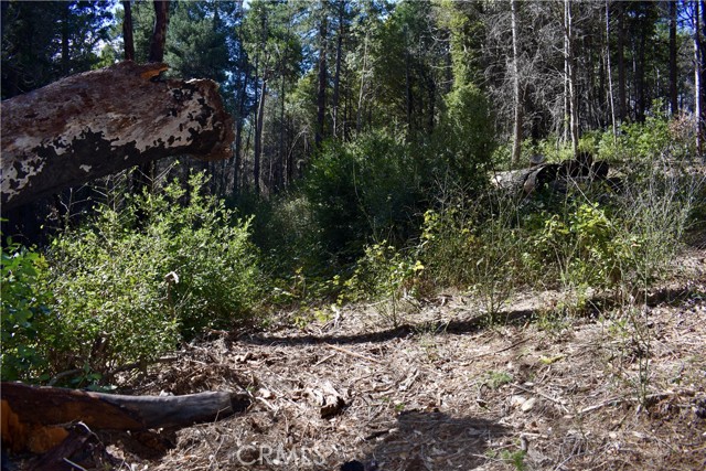 Detail Gallery Image 4 of 52 For 0 Toyon Trl, Berry Creek,  CA 95916 - – Beds | – Baths