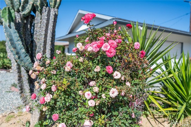 Detail Gallery Image 9 of 42 For 40480 Melrose Ave, Hemet,  CA 92545 - 3 Beds | 2/1 Baths