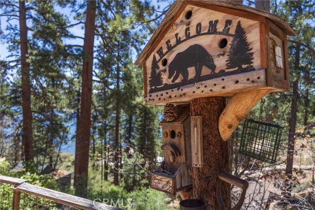 352 Big Bear Trail, Fawnskin CA: https://media.crmls.org/medias/d0f73c4b-1887-42b4-bee4-9924806c7c63.jpg