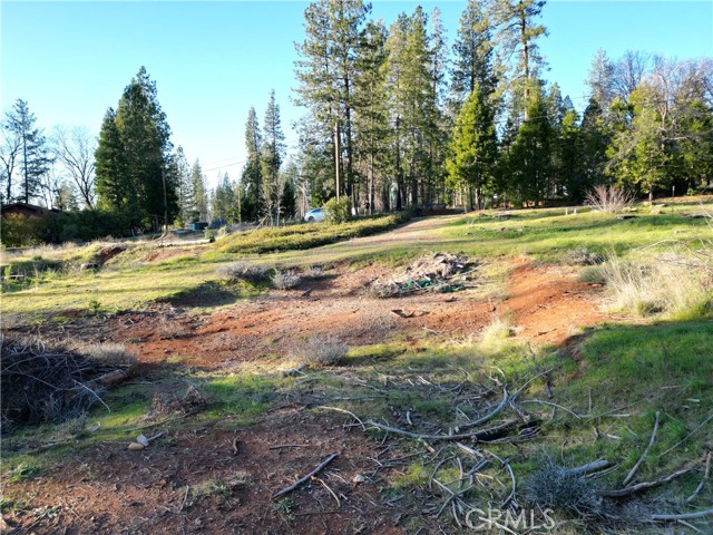 Detail Gallery Image 7 of 11 For 13788 Ferguson, Magalia,  CA 95954 - – Beds | – Baths