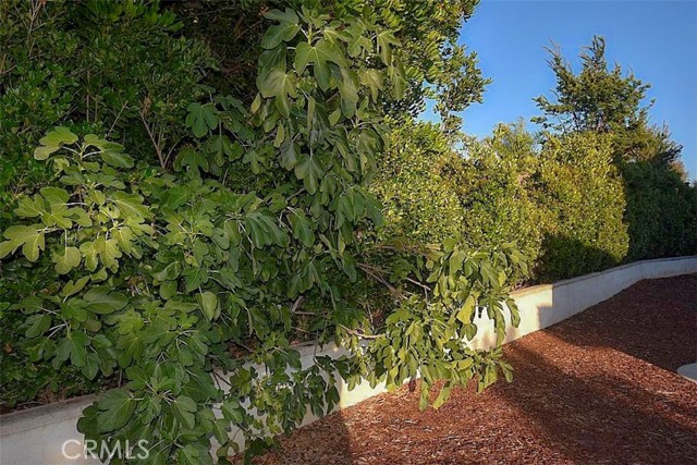 Detail Gallery Image 31 of 51 For 31530 Cala Carrasco, Temecula,  CA 92592 - 4 Beds | 3 Baths