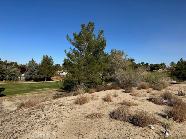 0 Camelback Drive, Victorville, California 92395, ,Land,For Sale,0 Camelback Drive,CRSB23213632