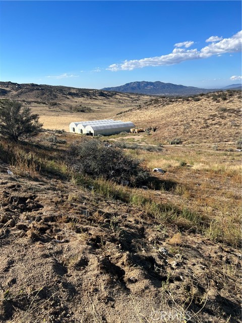 44015 Cary Road, Anza, CA, 92539 44015 Cary Road, Anza, CA, 92539