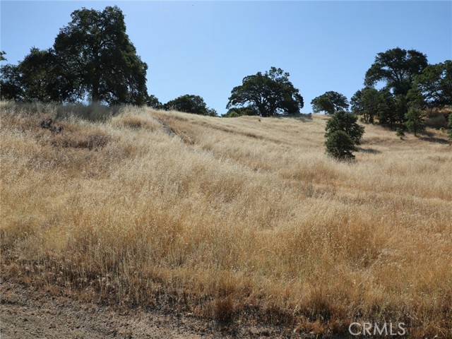 7285 Wilson Street, Nice CA: https://media.crmls.org/medias/d12999d9-88bb-4409-a7a0-ad75a987bad7.jpg