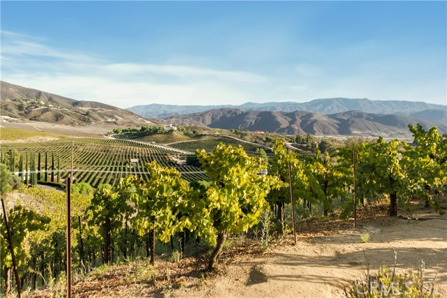 Detail Gallery Image 53 of 56 For 38330 De Portola Rd, Temecula,  CA 92592 - 2 Beds | 2 Baths