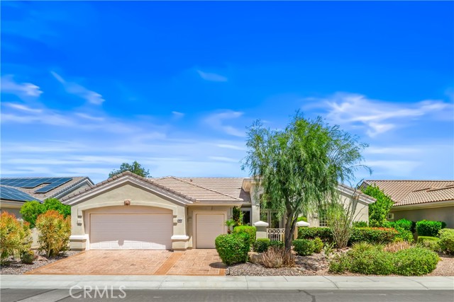 Front Image Thumbnail for CROC26091927