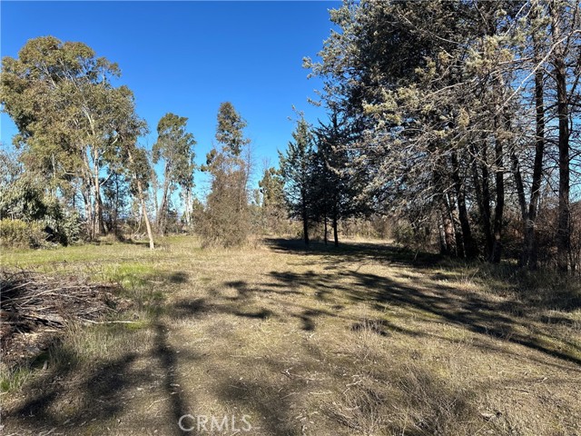 Detail Gallery Image 45 of 51 For 5235 Gaddy, Kelseyville,  CA 95451 - 2 Beds | 1 Baths