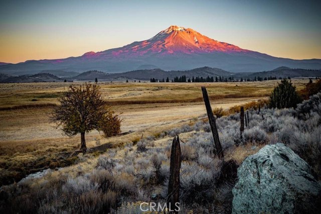 Detail Gallery Image 9 of 46 For 1201 Ball Mountain Little Shasta Rd, Montague,  CA 96064 - 3 Beds | 3/1 Baths