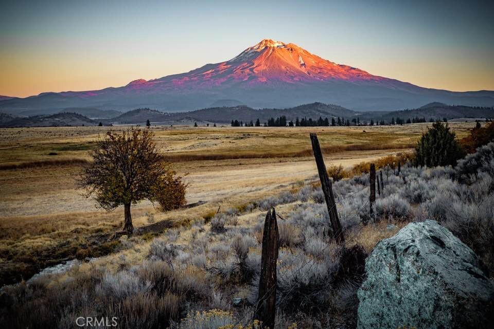 https://media.crmls.org/medias/d1314c64-55e1-4172-8b5d-3fe276424c4f.jpg?preset=X-Large
