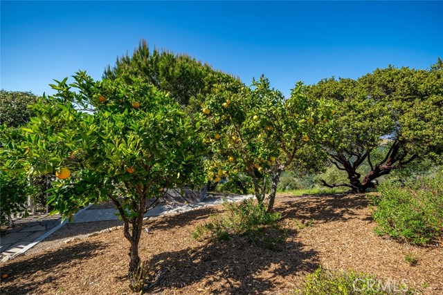 2650 Skyview Trail, San Luis Obispo CA: https://media.crmls.org/medias/d1316bce-3486-4e33-9439-0685a7300916.jpg